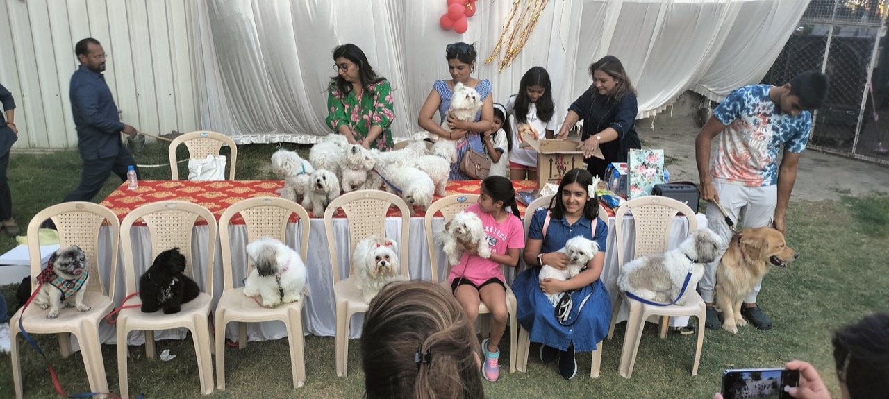 Furventures - Pet Adventures & Events - Photo 89